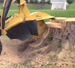 Stump Grinding