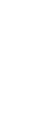 Leaf #2 Png